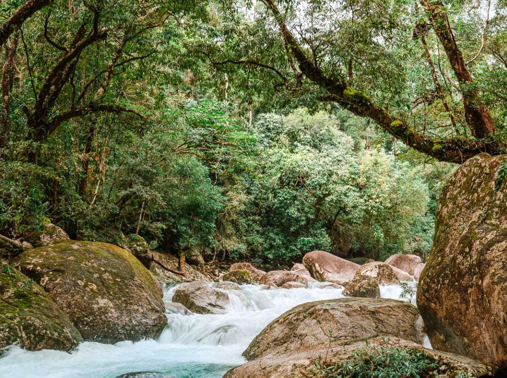Traveling through Far North Queensland: Rainforests and Reefs