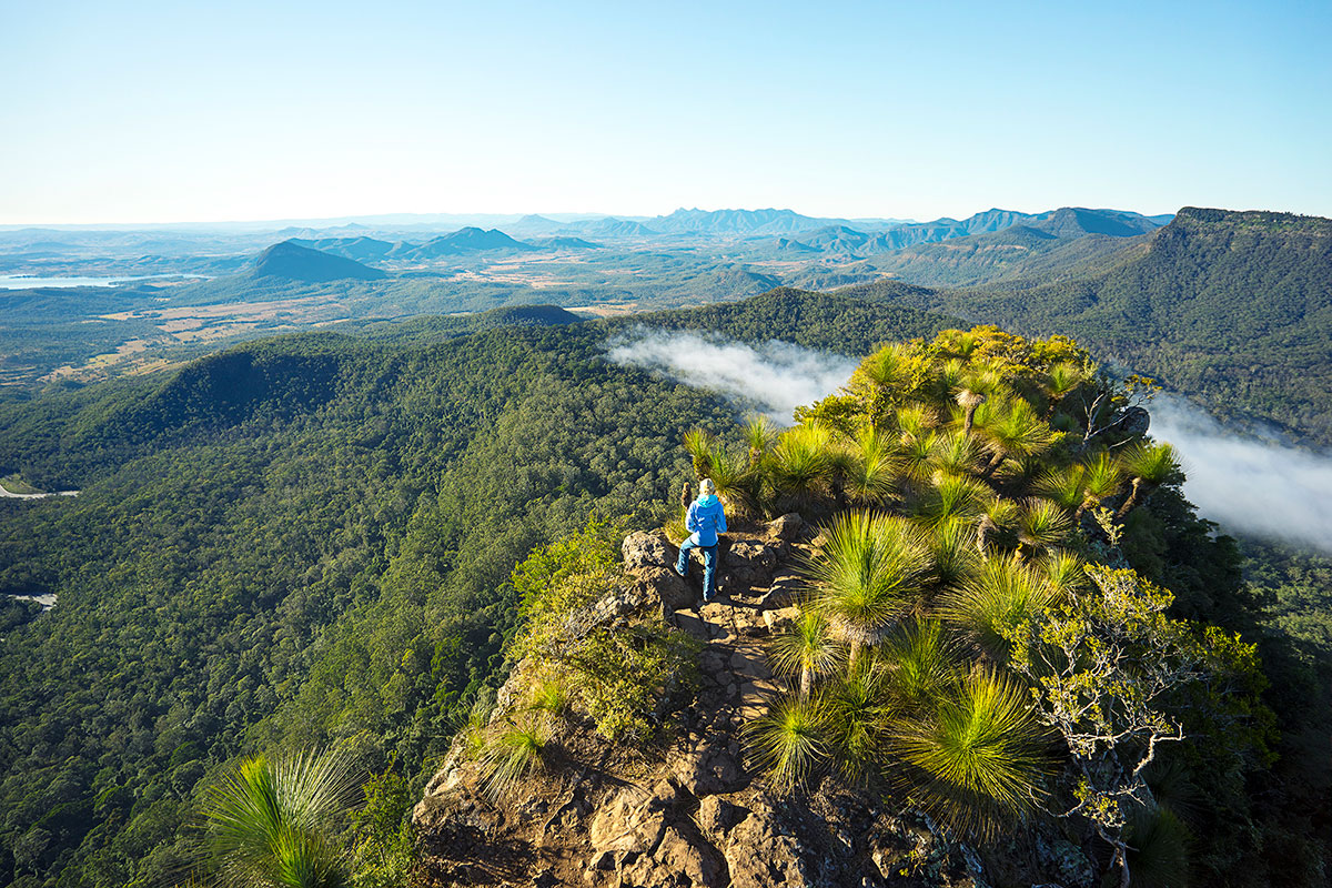 Exploring the Scenic Rim: Queensland’s Hidden Treasure